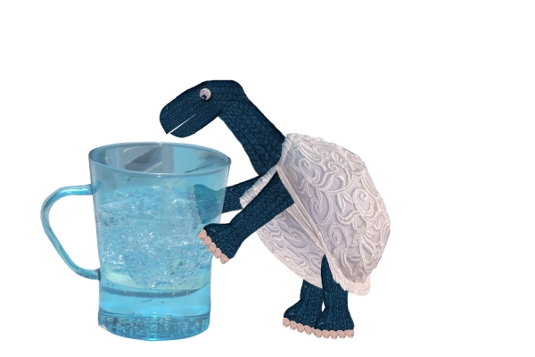Creation of thirsty braturtle: Step 9